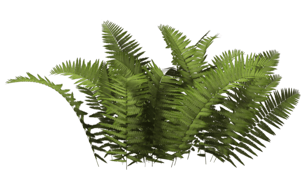 Plantas de casa pequena